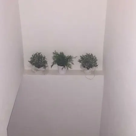 Circuito De Aragon. House Up To 16 Pax Villa