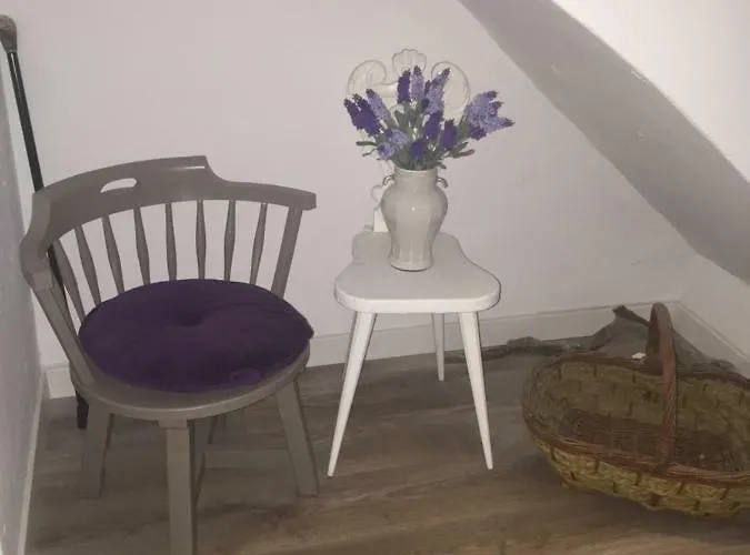 Circuito De Aragon. House Up To 16 Pax * Valdealgorfa