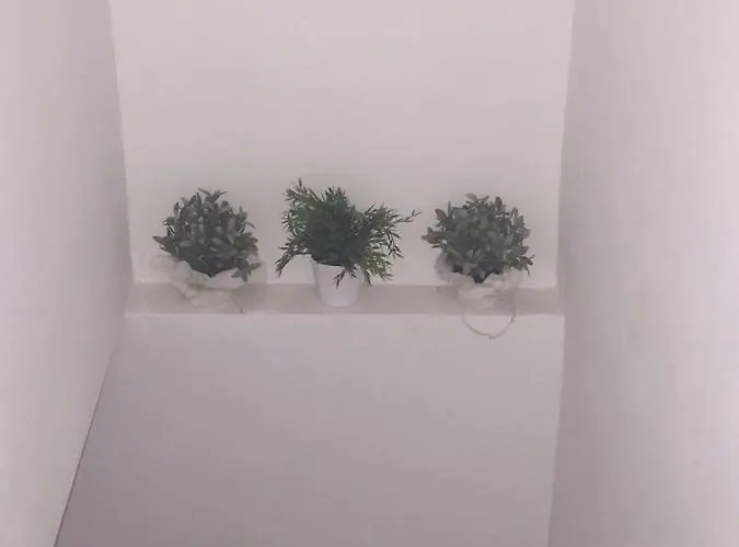 Circuito De Aragon. House Up To 16 Pax Villa